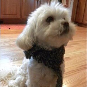 Meet your Posher, Sara